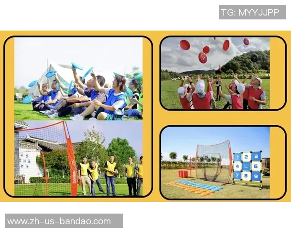 飞盘运动的魅力与挑战：深入了解武汉飞盘队的耐力与团队精神